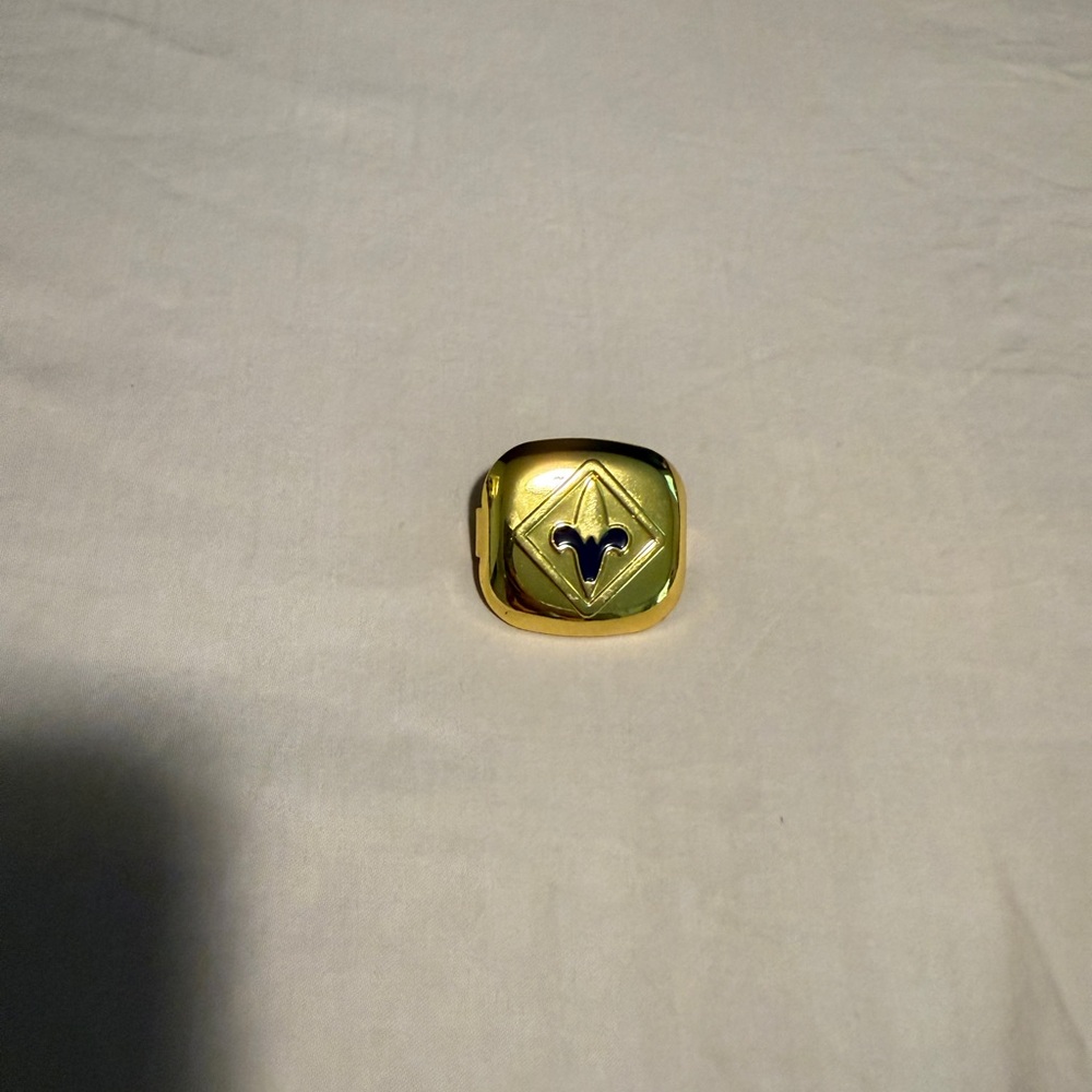 Cub Scout Webelos Rank Neckerchief Slide